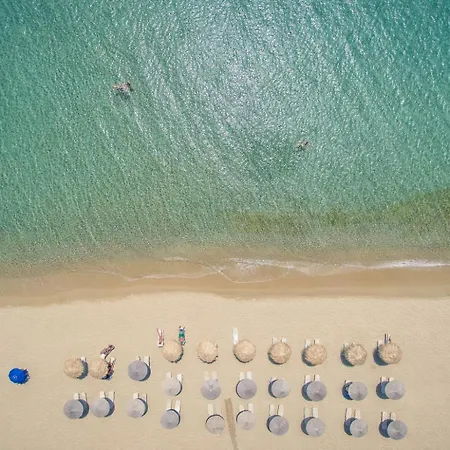 Lithia Exclusive Pláka