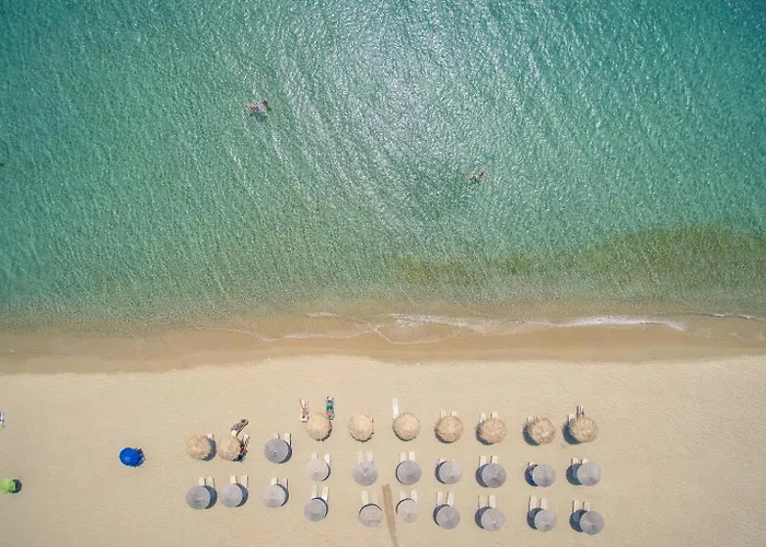 Lithia Exclusive Pláka